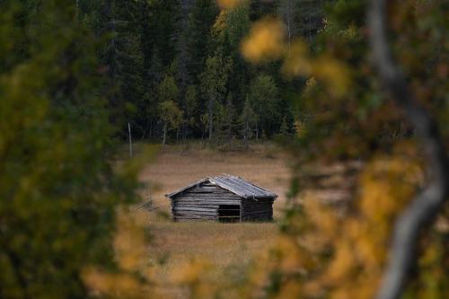 an old cabin sitting in a field of grass at Knutes pensionat in Svansele