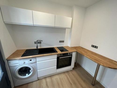 une cuisine avec un évier et une machine à laver dans l'établissement Beau studio proche gare à Dijon, à Dijon