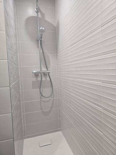 une salle de bain avec une douche avec pommeau de douche dans l'établissement Beau studio proche gare à Dijon, à Dijon
