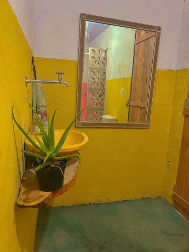 Gambar di galeri bagi Pousada Paraíso das Onças di Belém