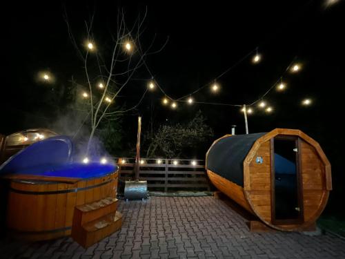 Willa Zielony Świat