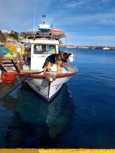 Phong cảnh thiên nhiên gần thuyền