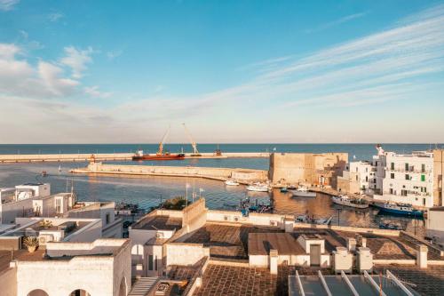 a view of a harbor with buildings and the ocean at Palazzo Indelli in Monopoli