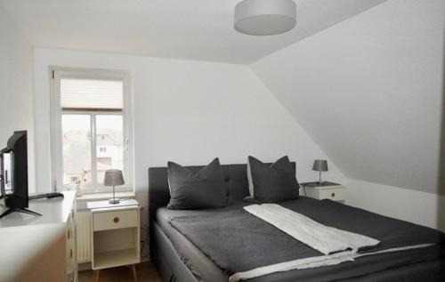 a bedroom with a bed and a television and a window at Ferienhaus im Gänseried in Erfurt