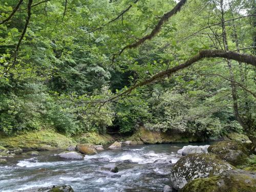 Φυσικό τοπίο κοντά σε αυτό το διαμέρισμα