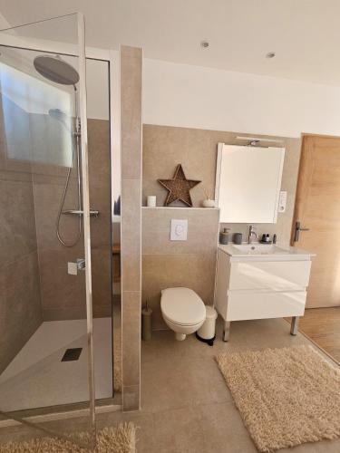 une salle de bain avec toilettes, lavabo et douche dans l'établissement Villa de standing Fiurenza - Piscine - Proche Saint-Florent, à Oletta