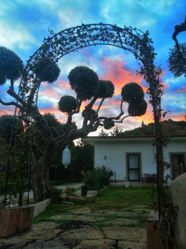 Κήπος έξω από το Alba in vigna Bed and Breakfast