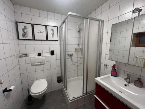 a bathroom with a shower and a toilet and a sink at Ferienwohnung Michaela in Neualbenreuth