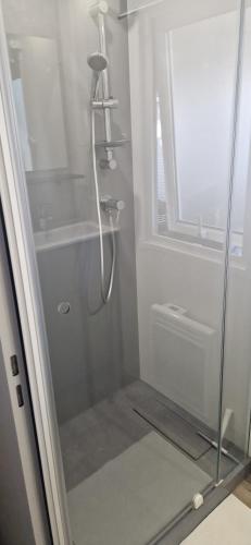 une douche avec une porte vitrée dans une salle de bain dans l'établissement Evasion au bord de l'océan, à Capbreton