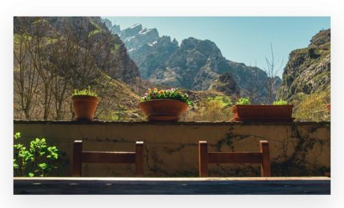 two benches and potted plants on a wall with mountains at Albergue de Caín "El Diablo de la peña" in Caín