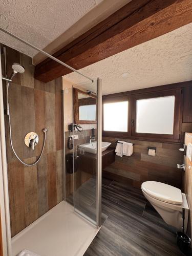 a bathroom with a shower and a toilet and a sink at Black Forest Hotel Todtnau in Todtnau