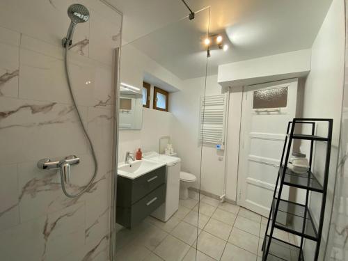 une salle de bain avec une douche, des toilettes et un lavabo dans l'établissement Chez Victor - parking, balcon, proche lac & rando, à Veyrier-du-Lac