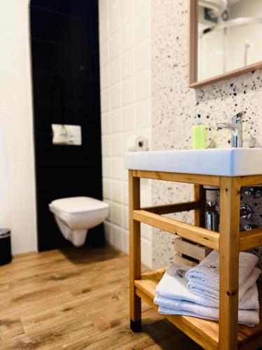 a bathroom with a sink and a toilet at Zagroda na Pacanach in Iwkowa