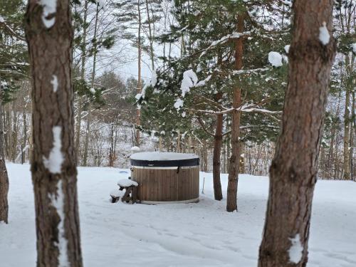 a wooden barrel in the snow in a forest at Forest Zen Małastów dom z prywatną balią z widokami na las in Małastów