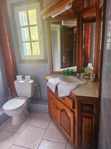 a bathroom with a toilet and a sink and a mirror at Hotel Des Neiges in Cilaos