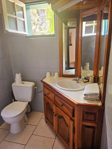a bathroom with a sink and a toilet and a mirror at Hotel Des Neiges in Cilaos