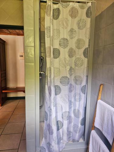 a shower with a shower curtain in a bathroom at Hotel Des Neiges in Cilaos