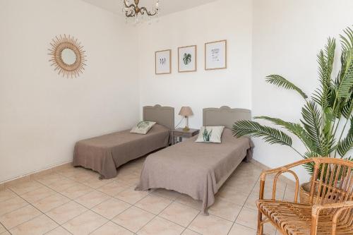 une chambre avec deux lits, une plante et un miroir dans l'établissement Le Mas Saint Pierre, à Pietrosella