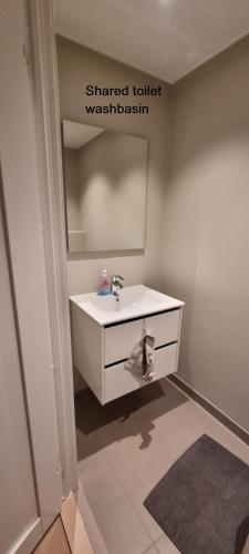 a bathroom with a sink and a mirror at 12sq mts room Seaside Lervig-Park in Stavanger