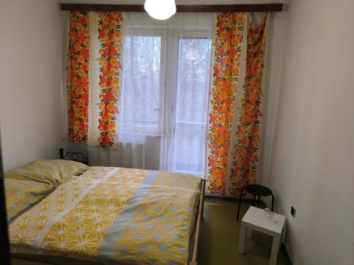 a bedroom with a bed and a window with curtains at Ubytovňa KARPATIA in Šaštín