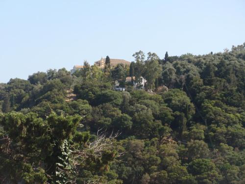 a house on top of a hill with trees at Korina Studios in Paleokastritsa