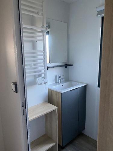 a small bathroom with a sink and a mirror at MH 3CH à l'océan Landais chez Claiclé in Saint-Julien-en-Born