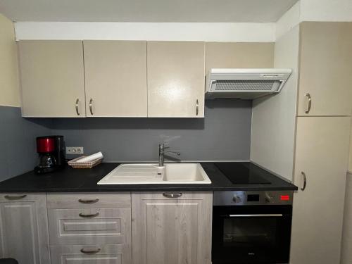 une cuisine avec un évier et un micro-ondes dans l'établissement T2 central à La Roche-Posay, 4 pers, WIFI, proche des Thermes - FR-1-541-160, à La Roche-Posay