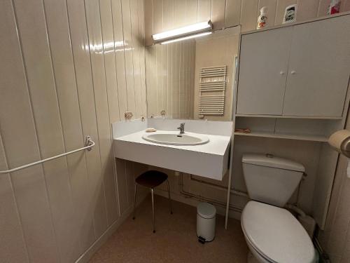 une petite salle de bain avec un lavabo et des toilettes dans l'établissement T2 central à La Roche-Posay, 4 pers, WIFI, proche des Thermes - FR-1-541-160, à La Roche-Posay