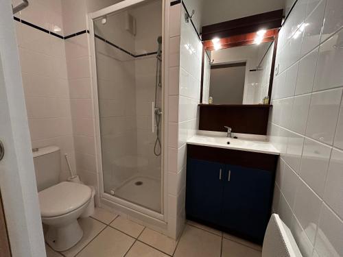 une salle de bain avec une douche, des toilettes et un lavabo dans l'établissement T2 rénové avec piscine chauffée proche Thermes, parking et WIFI - FR-1-541-164, à La Roche-Posay