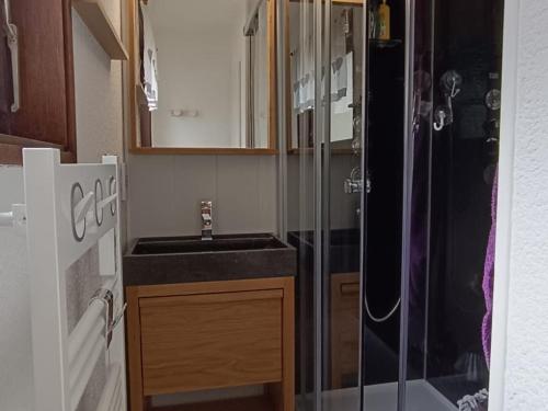 a small bathroom with a sink and a shower at Appartement cosy proche pistes ski avec garage - FR-1-498-112 in Thollon