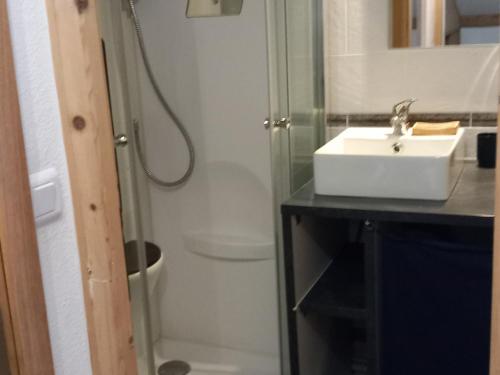 Photo de la galerie de l'établissement Appartement cosy 2 chambres avec WiFi et parking aux Gets - FR-1-671-276, aux Gets