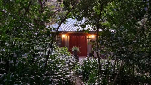 a small red cabin with lights in the woods at Honeywood Forest Lodge in Port Shepstone