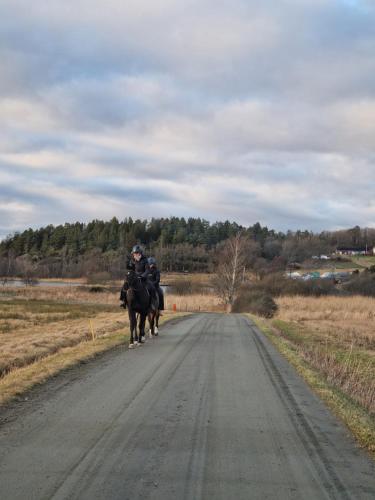 two people riding horses down a dirt road at Trevligt fritidshus med underbar utsikt in Gothenburg