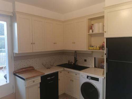une cuisine avec des armoires blanches et un lave-vaisselle noir dans l'établissement penthouse, à Amélie-les-Bains-Palalda
