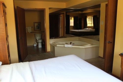 a bathroom with a tub and a large mirror at 2 Bedroom Accessible condo, #114 Wild Eagle Lodge in Eagle River
