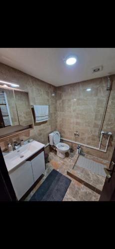 a bathroom with a sink and a toilet and a shower at Ribnjak Filopivic in Pleš