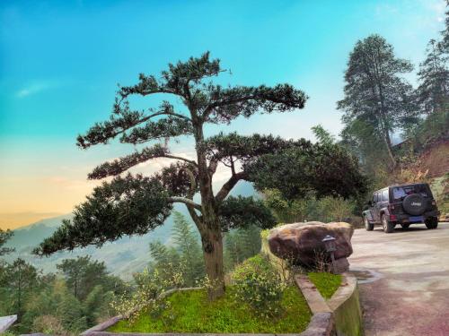 a tree on the side of a road with a car at Longji Skyreach Peak Resort - Golden Buddha Summit in Longsheng