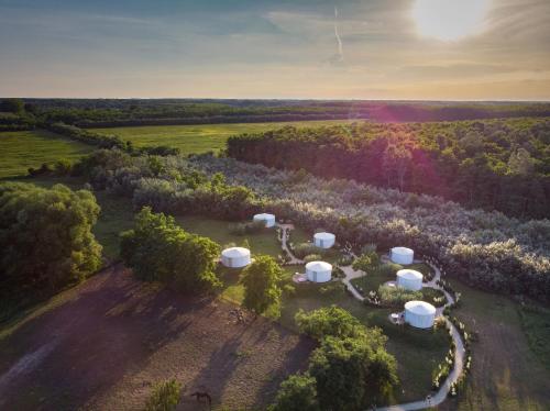 an aerial view of a group of domes in a field at HOMOKI LODGE Bed & Beyond Glamping Adult Only in Ruzsa