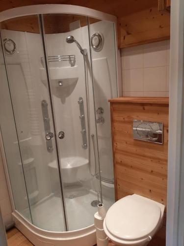 une cabine de douche dans une salle de bain avec toilettes dans l'établissement Family mountain apartment, à Tignes