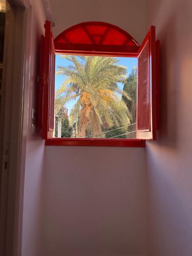アスワンにあるPalm Geust Houseのギャラリーの写真