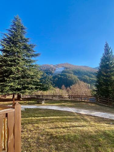 a wooden fence in a field with a tree at Auberge de jeunesse HI Valdeblore - Le Chalet in Valdeblore