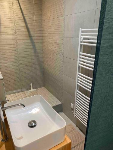 une salle de bain avec un lavabo blanc et une douche dans l'établissement Superbe appartement quartier latin, à Paris