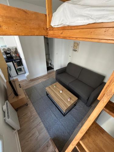- un salon avec un canapé et un lit dans l'établissement Mini-loft, Paris 15 - Convention, à Paris