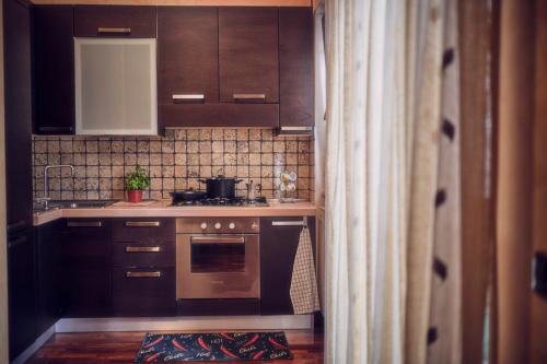 Кухня или мини-кухня в Travelershome Ciampino 212 Central Station Guest House
