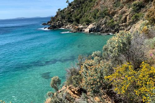 a view of the ocean from a cliff at Studio Cactus - Welkeys in Cavalaire-sur-Mer