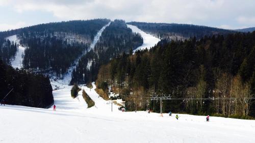 a group of people skiing down a snow covered mountain at Apartment U Lipna Nová Pec in Nová Pec