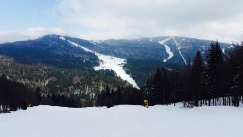 a snow covered mountain with a trail in the distance at Apartment U Lipna Nová Pec in Nová Pec