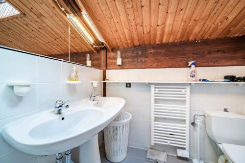 a bathroom with a sink and a toilet at Chalet Châtel - calme et spacieux in Châtel