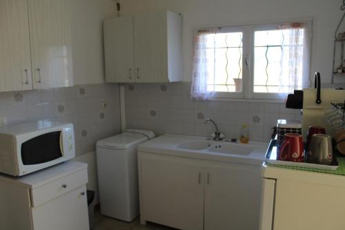 une petite cuisine avec un évier et un micro-ondes dans l'établissement Gite viticole, à Mollans-sur-Ouvèze