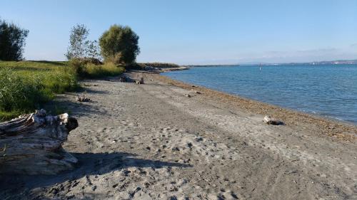 a sandy beach next to a body of water at Ferien im Paradies - Wohnung Prima in Höchst